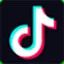 TikTok Onay