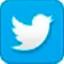 Twitter (X) Onay